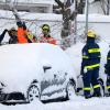 Einsatzkräfte des Technischen Hilfswerks (THW) kontrollieren in einer Straße durch die Schneelast beschädigte Bäume.