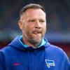 Mag es familiär: Hertha-Coach Pal Dardai: