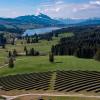 Eine Szenerie, wie sie immer öfter in Bayern zu sehen ist – vor allem entlang von Autobahnen und Schienen. Solarparks, die ganze Felder und Wiesen einnehmen, um mit ihren Kollektoren aus Sonnenlicht Strom zu produzieren.  	