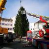 Seit Montag steht der Christbaum für Alle auf dem Augsburger Rathausplatz.