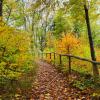 Die schönen Seiten des Herbstes im Unterallgäu.