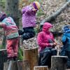 Immer draußen: In einem Waldkindergarten sind die Kinder fast ausschließlich im Freien unterwegs. In Thannhausen ist es noch offen, ob dieses Betreuungskonzept umgesetzt werden kann.(Symbolfoto)