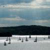 Zahlreiche Segelboote sind bei Wolkenhimmel und untergehender Sonne auf dem Wannsee unterwegs.