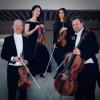 Das Leopold-Mozart-Quartett: von links Christian Döring, Mariko Umae, Aleksandra Manic und Johannes Gutfleisch.