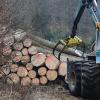 Im Wald bei Aystetten wird viel gefällt. Das ist wichtig für die Holzproduktion, die Westlichen Wälder sollen aber auch Erholungsgebiet sein. Das Foto stammt aus dem Jahr 2017.