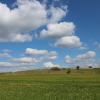 Im Landkreis sollen regionale Lebensmittel gefördert werden. Jetzt soll es mehr Mitglieder für das Projekt „Geopark Ries kulinarisch“ geben. Das sorgt unter anderem für Unmut. (Archivfoto)