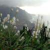 Auf Madeira ist ein Waldbrand ausgebrochen. Zudem sorgt starker Wind für Chaos am Flughafen.