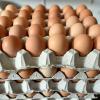 Eiergeld wurde aus einem Hofladen gestohlen. 