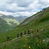 Eine lange Tour hinunter nach Livigno - um uns das Frühlingsfest der Natur.