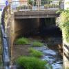 Durch die anhaltende Trockenheit fließt in der Gailach in Monheim so gut wie kein Wasser mehr.