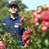 Als Gartenaufsicht passt Fabian Konnertz im Botanischen Garten in Augsburg unter anderem auf, dass die Rosen nicht abgeschnitten werden.