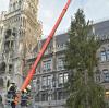 Der Christbaum auf dem Münchner Marienplatz ist dieses Jahr sehr mager ausgefallen. 