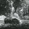„Springbrunnen am Königsplatz in der Morgensonne“ ist dieses Foto von 1951 beschriftet.