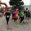 Lionslauf 2014 von Eichstätt nach Neuburg