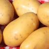 Die Öko-Modellregion Paartal begleitet eine Versuchsproduktion mit dem Unternehmen Südstärke. Dabei werden heimische Bio-Kartoffeln zu Flocken verarbeitet. 