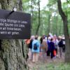 Horgau könnte einen Wald als letzte Ruhestätte bekommen.