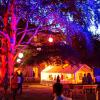 Stimmungsvoll beleuchtet wird der Park von Gut Sulz beim Festival der IG Rainer Winkel. 