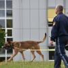 Die Polizei rückte mit Hunden zu einem Einbruch in Augsburg-Oberhausen an.