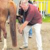 Ein Ruck – und schon geht es dem Tier besser. Der Pferdeosteopath Tamme Hanken hat nun in Tiefenbach mit zupackender Art Rösser kuriert.  