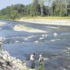 Nach dem Vorbild von "Wertach vital" bei Göggingen soll der Fluss bei Schwabmünchen umgebaut werden. Foto: Wasserwirtschaftsamt