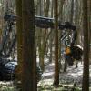 Der Harvester bahnt sich seinen Weg durch die Bäume im Wald bei Biburg.