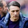 Will in der laufenden Saison keinen neuen Trainerposten antreten: Niko Kovac.