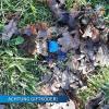 Am Samstag fand in Wehringen ein Hundebesitzer beim Spaziergang  einen auffälligen, blauen Brocken auf einer Wiese. 