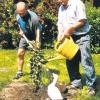 Konrad Kraus (links) vom Obst- und Gartenbauverein Scherstetten pflanzte Ludwig Wanner (rechts) zum 75. Geburtstag einen Säulen-Apfelbaum. 