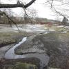 Der Dorfweiher in Obergriesbach verlandet über den Winter: Die Gemeinde soll nun versuchen, das Areal von den Eigentümern zu kaufen. Dieses Anliegen der Amphibienschützer von Obergriesbach war jetzt Thema im Gemeinderat. 	