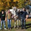 Suchen ein Winterquartier: Ronny jun., Ronja und Manolito Quaiser mit Hengst  Sultan. 