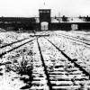 Deutschland will bei Sanierung von Auschwitz helfen