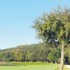 Im Wald von Bebenhausen liegt das Quellgebiet, dass die Gemeinde Kettershausen gegebenenfalls beabsichtigt, als zweites Standbein für die Trinkwasserversorgung zu erschließen. 