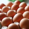 Kurz vor Ostern ist in Bio-Eiern Dioxin entdeckt worden. 