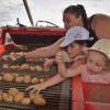 Aktionstag für Kinder: Kartoffeln wachsen nicht im Supermarkt