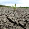 In immer mehr Regionen des Landes wird Trockenheit zum akuten Problem.