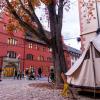 Ein Zelt des Klimacamps steht auf dem Rathausplatz vor dem Freiburger Rathaus.