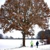 Für die einen bedeutet Winter ein Spaziergang im Neuschnee oder die erste Fahrt auf Skiern, für die anderen viel Arbeit, Verspätungen – und Angst um Blutreserven. 