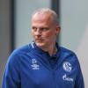 Wurde immer wieder für seine Personalpolitik kritisiert: Schalke-Sportchef Jochen Schneider.