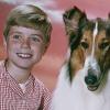 Filmhund Lassie und ihr bester Freund.