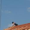 Bei Arbeiten auf dem Dach eines Carports in Deisenhausen ist ein Mann in die Tiefe gestürzt. (Symbolbild)