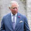 Prinz Charles, die Nummer eins der britischen Thronfolge, hatte sich im März mit dem Coronavirus angesteckt. Er zeigte aber nur leichte Symptome.