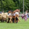 Tradition und Brauchtum stehen beim Leipheimer Kinderfest im Mittelpunkt.