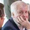 Als Innenminister hat Horst Seehofer es in diesen Tagen nicht leicht. Er kämpft im Haifischbecken der Berliner Politik.