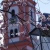 Im Frühling blühen in Krumbach viele Bäume und Sträucher.