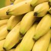 Bananen sind ein typisches Produkt, bei dem die Stadt auf fairen Handel achtet. Auch Kaffee gehört dazu.