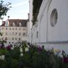 Das Kloster Heilig Kreuz Donauwörth