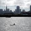 Die Skyline von San Francisco: Dieser Anblick bot sich auch Annemarie Schneider aus Holzhausen, als sie von der Gefängnisinsel Alcatraz nach San Francisco geschwommen ist. 
