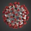 Forscher haben am Computer ein Modell des Virus Sars-CoV-2 nachgebaut. So soll es unter einem besonderen Mikroskop aussehen.  