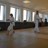 Sarah Müller, Katharina Ganzner und Ludwig Poisel (von links) sind Teil des bayerischen Landeskaders in Karate. Thomas Brandner trainiert die Talente im Monheimer Dojo – dem Trainingsraum an der Donauwörther Straße. 	