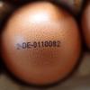 Der durchschnittliche Verkaufspreis für ein Paket mit zehn Eiern aus Bodenhaltung in der Größe M hat in der vergangenen Woche bei 2,02 Euro gelegen. Vor einem Jahr betrug der Preis noch bei 1,75 Euro.